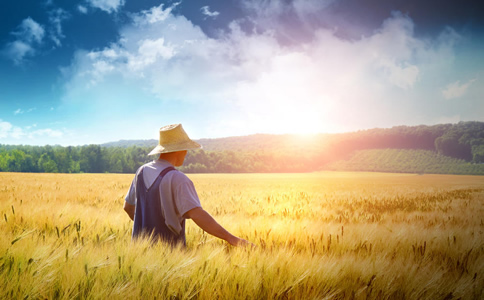 農(nóng)業(yè)工程師的崗位職責(zé)是什么？-十大獵頭公司【高邦獵頭】