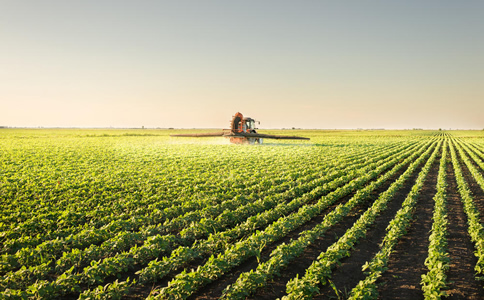 2020國內知名農(nóng)業(yè)獵頭公司有哪些？